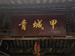 -青城甲(青城山店)