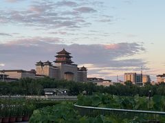 -莲花池公园