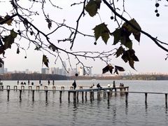 -武汉大学-樱园