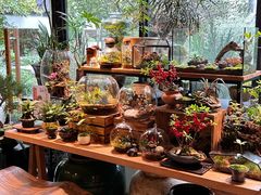 -自由生长植物工作室(深港花卉中心店)