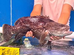 -四海之家(蛇口店)