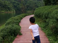 -广州市石门国家森林公园
