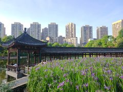 -龙头寺公园