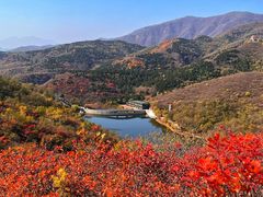 -北京西山国家森林公园