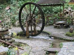 -莫里热带雨林景区