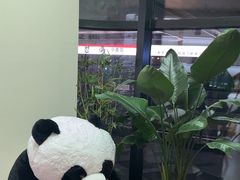 -果赖·躺采轻柔spa(成都理工大学店)