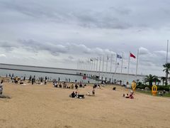 -碧海金沙