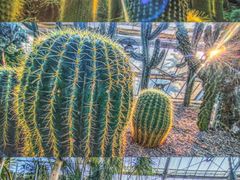 -南山植物园