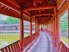 -龙头寺公园