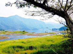 -白鹭湾湿地公园