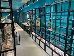 -Trend1881视光·蔡司视觉(领展广场店)