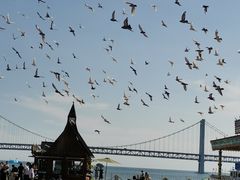-星海湾跨海大桥