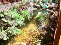 -聚缘堂·海鲜私房菜(松岭路店)