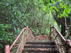 -海南热带雨林国家公园吊罗山景区