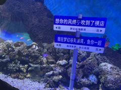 -横店影视城梦幻谷园区