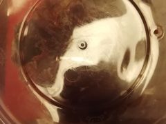 -山林熟食(兰溪路店)