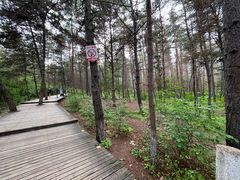 -帽儿山国家森林公园