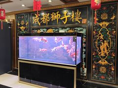 -狮子楼(成都晨光大厦店)