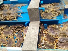-帝皇海海鲜豆捞(桐泾商务广场店)