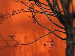 -深圳湾万象城(南山店)