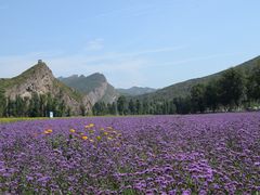 -百里山水画廊乌龙峡谷