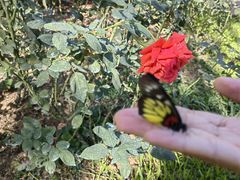 -人民公园(罗湖区)