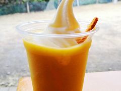 -雪绿茶博物馆