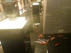 -西安阳光国际大酒店·中餐厅