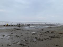 -南汇新城海滩