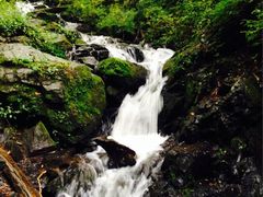 iphone_upload_pic-凤凰山国家森林公园