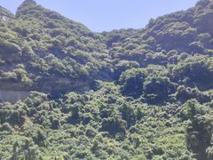 -少华山国家森林公园