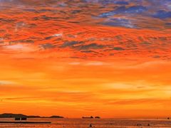 -烟台海昌鲸鲨海洋公园