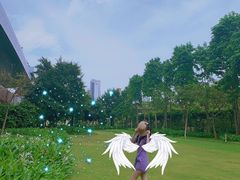 -瑰丽酒店·海吧·天际下午茶·现场DJ·天台酒吧