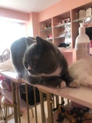 -Pink You美甲美睫纹绣定制中心