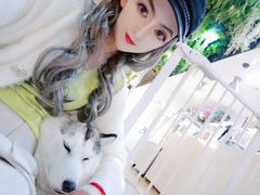 -Husky Go! 哈士奇体验馆·宠物咖啡厅狗咖