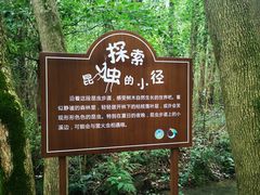 -同里国家湿地公园
