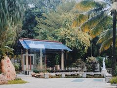 -深圳国际园林花卉博览园