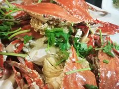 -渡海小渔村.老辈日照菜