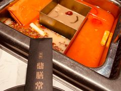 -鼎膳常火锅(华阳店)