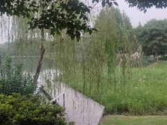 -尚贤河湿地