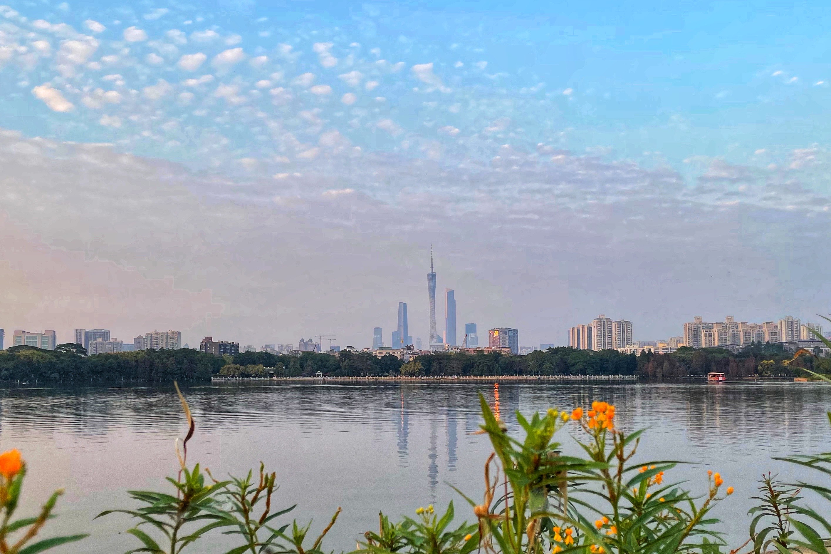 广州海珠湖风景图片