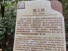 -海南霸王岭国家森林公园