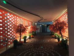 -万达影城(汉街万达广场IMAX店)