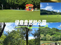 -莲花山公园