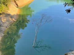 -广州市流溪河国家森林公园