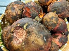 -阿山卓·野生菌火锅·纳西火塘烤肉