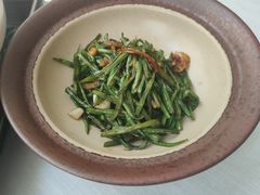 -鱼翅楼·津派砂锅鱼翅(水上公园店)