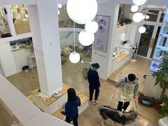 -李小姐の猫咖啡馆(五角场店)
