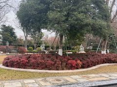 -上海望仙安息园