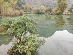 -靖西鹅泉风景区